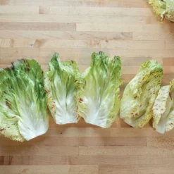 Giorgione -Whisper Glen Sales Store 04582 03 giorgione