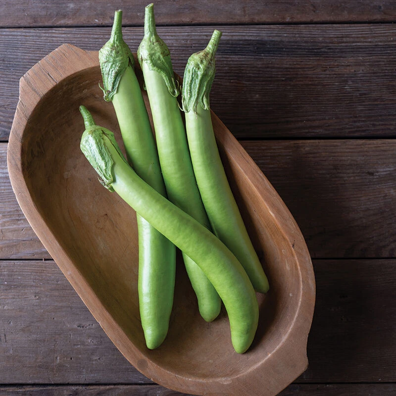 Summer Emerald 2 Summer Emerald - Image 2