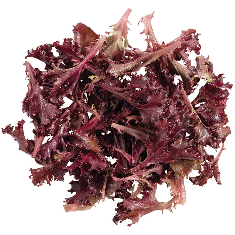 Catalina 2 Catalina - Image 2