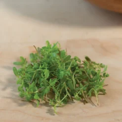 Marigold, Gem 7 Marigold, Gem -Whisper Glen Sales Store 06023m 04 gem marigold