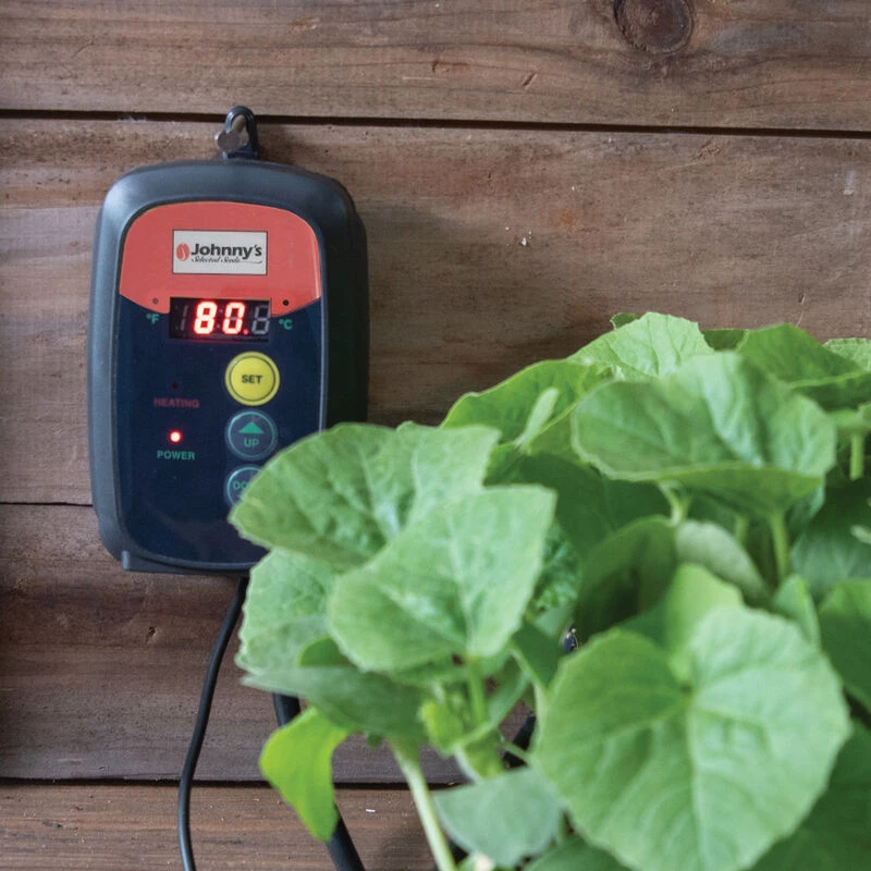 Heat Mat Temperature Controller 2 Heat Mat Temperature Controller - Image 2