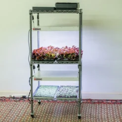 Johnny's Modular LED Grow Light Cart