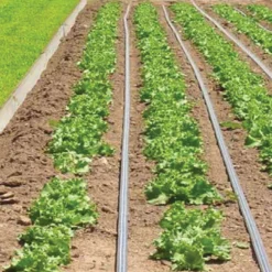 Johnny's Drip Irrigation Kit – 1,000'