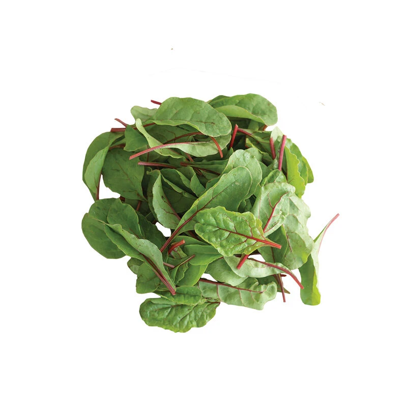 Ruby Red Or Rhubarb Chard 2 Ruby Red Or Rhubarb Chard - Image 2