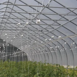 Rollerhook® – 25 Count -Whisper Glen Sales Store 07047 02 rollerhookgreenhouse