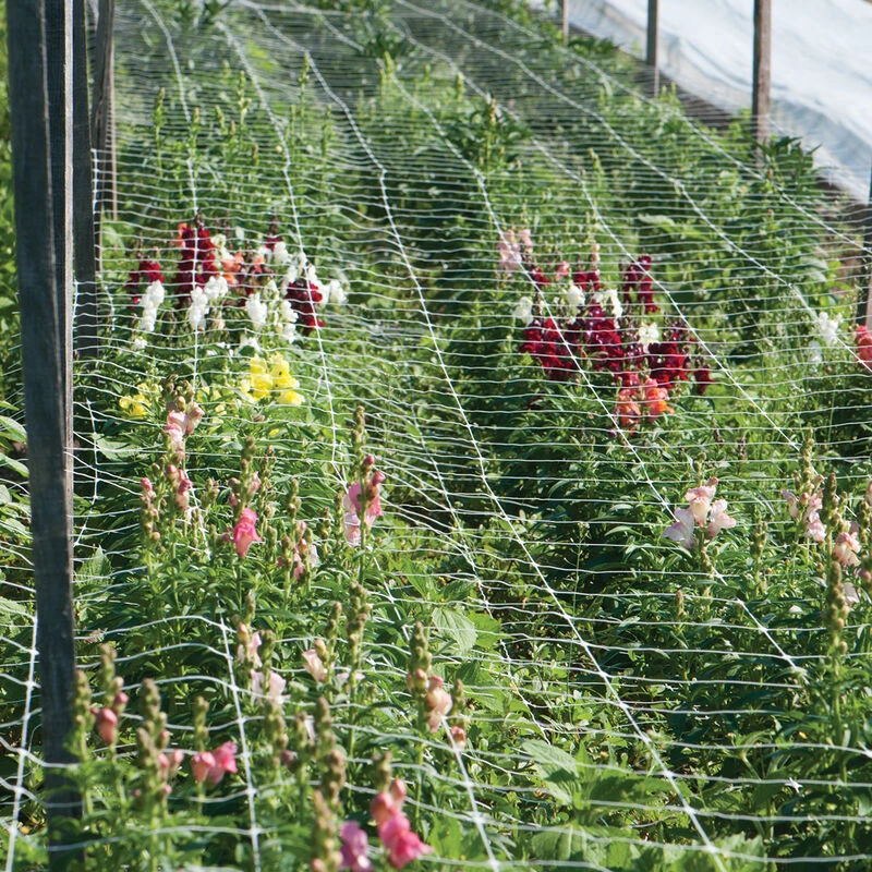 Hortonova FA – 36" X 328' 1 Hortonova FA – 36" X 328'