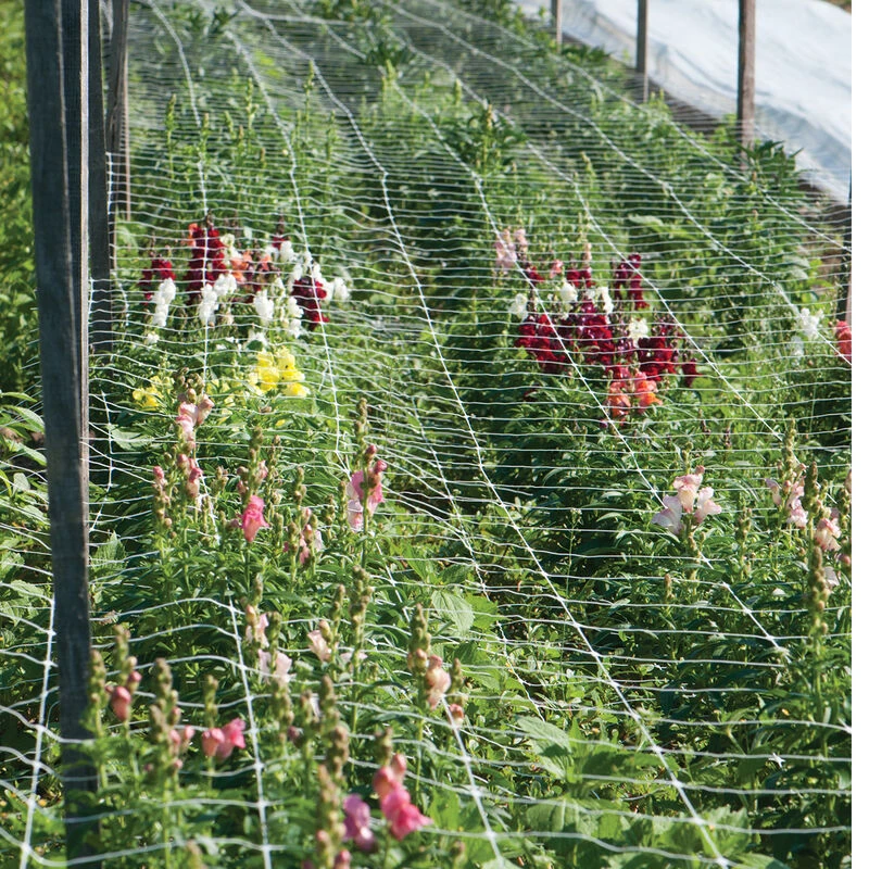 Hortonova FA – 42" X 328' 1 Hortonova FA – 42" X 328'