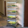 Compact Seedling Light Cart – 8 Trays, 320 Watts