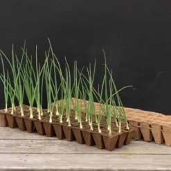 36 Cell Fertil Pots Strip – 144 Count