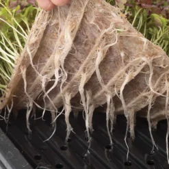 Terrafibre Hemp Grow Mats, 10" X 20" – 140 Count -Whisper Glen Sales Store 07549 03 10 20terrafibremat