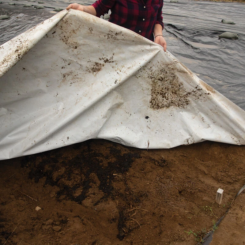 Silage Tarp – 50' X 100' 1 Silage Tarp – 50' X 100'