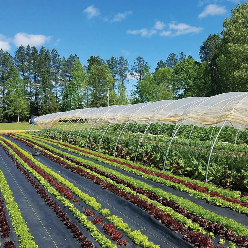 Sunbelt Black Ground Cover – 6' X 300' 1 Sunbelt Black Ground Cover – 6' X 300'