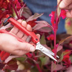 ARS SE45 Floral Shears
