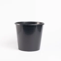 Flower Buckets – 5 L, 50 Count