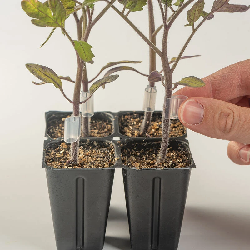 Top-Grafting Clips With Channel – 2.8 Mm 2 Top-Grafting Clips With Channel – 2.8 Mm - Image 2