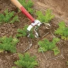 Spring Hoe – 3.5"