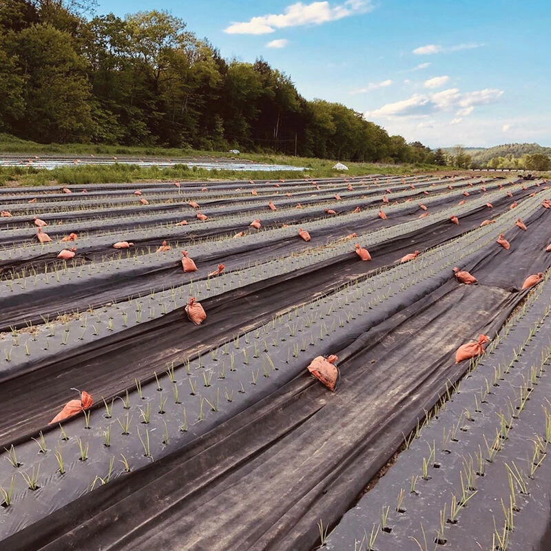 Black Weed Fabric – 4' X 1,640' 1 Black Weed Fabric – 4' X 1,640'