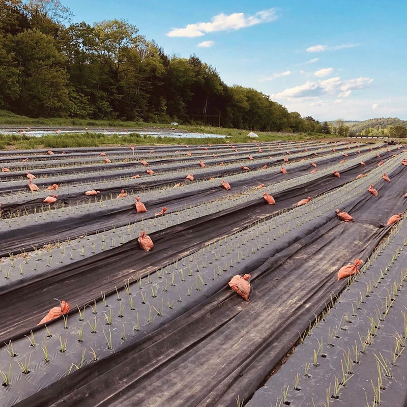 Black Weed Fabric – 4' X 100' 1 Black Weed Fabric – 4' X 100'