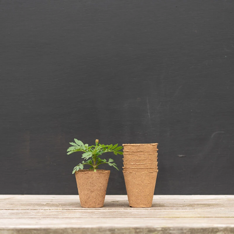 3 1/8" Round Fertil Pots – 1,370 Count 1 3 1/8" Round Fertil Pots – 1,370 Count