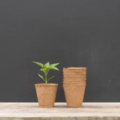 4" Round Fertil Pots – 810 Count