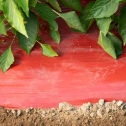 SRM Red Mulch – 4' X 100'