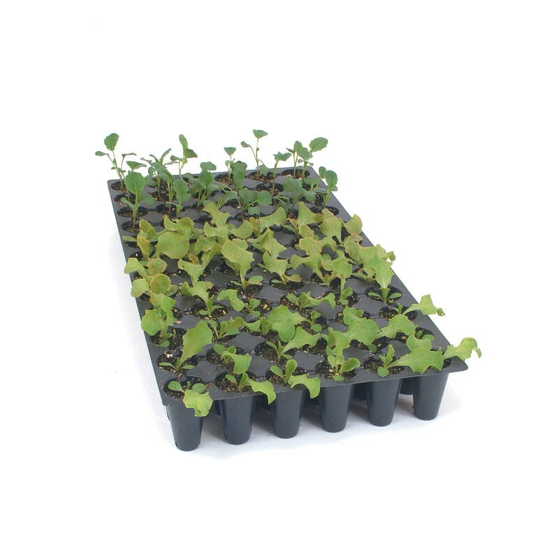 Pro-Tray 72 Cell Flats – 5 Count