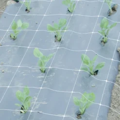 Hortonova FA – 48" X 328'