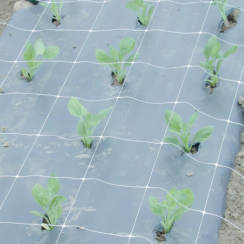 Hortonova FA – 48" X 328' 1 Hortonova FA – 48" X 328'