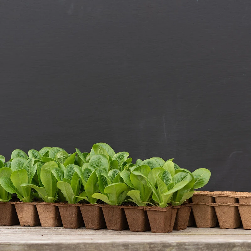 18 Cell Fertil Pots Strip – 111 Count 1 18 Cell Fertil Pots Strip – 111 Count