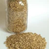 Barley (Robust)