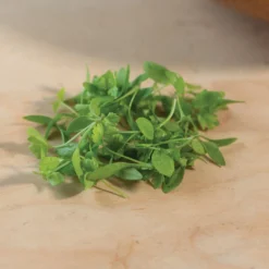 Parsley -Whisper Glen Sales Store 3770m 03 parsley