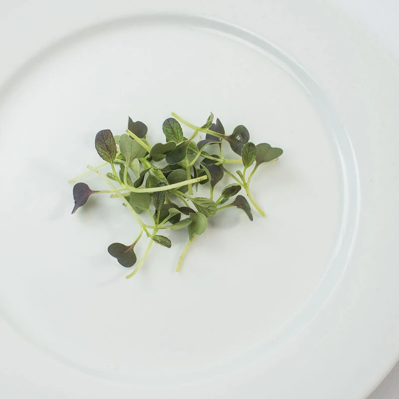 Pac Choi, Red Choi 2 Pac Choi, Red Choi - Image 2