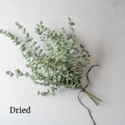 Baby Blue Bouquet -Whisper Glen Sales Store 4770 03 babybluebouquet dried flower