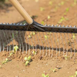 Tine Weeding Rake – 21"